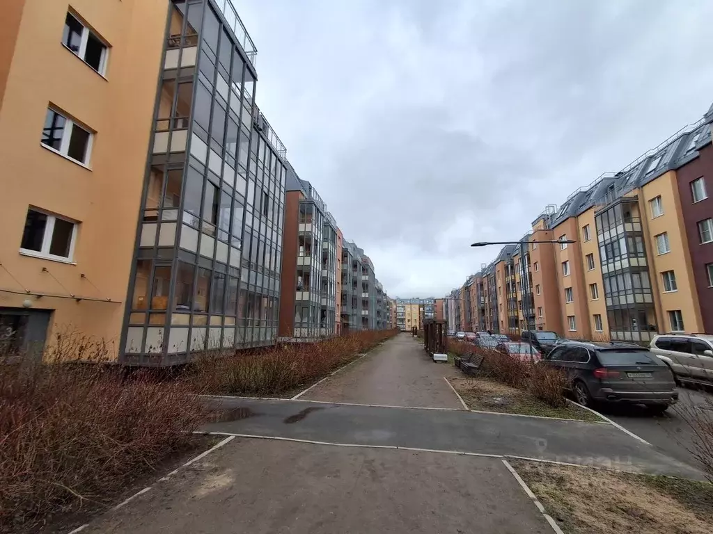 Студия Санкт-Петербург Пулковское ш., 73к3 (23.4 м) - Фото 1