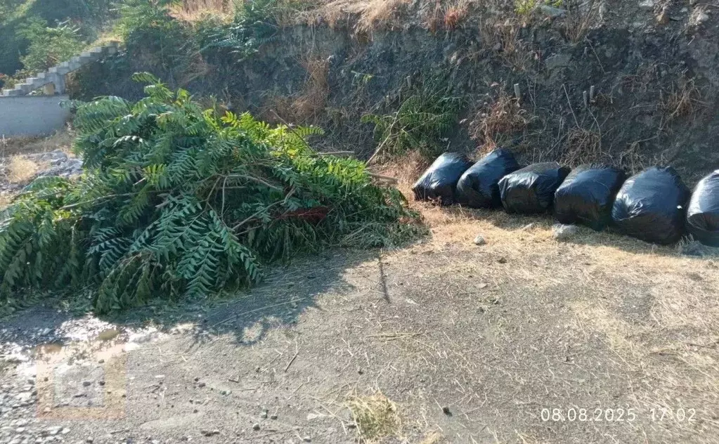 Участок в Крым, Ялта муниципальный округ, Массандра пгт ул. Мира, 2 ... - Фото 2