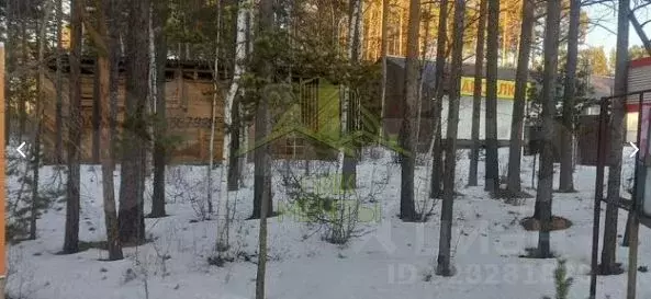 Участок в Бурятия, Прибайкальский район, с. Горячинск ул. Гагарина ... - Фото 1