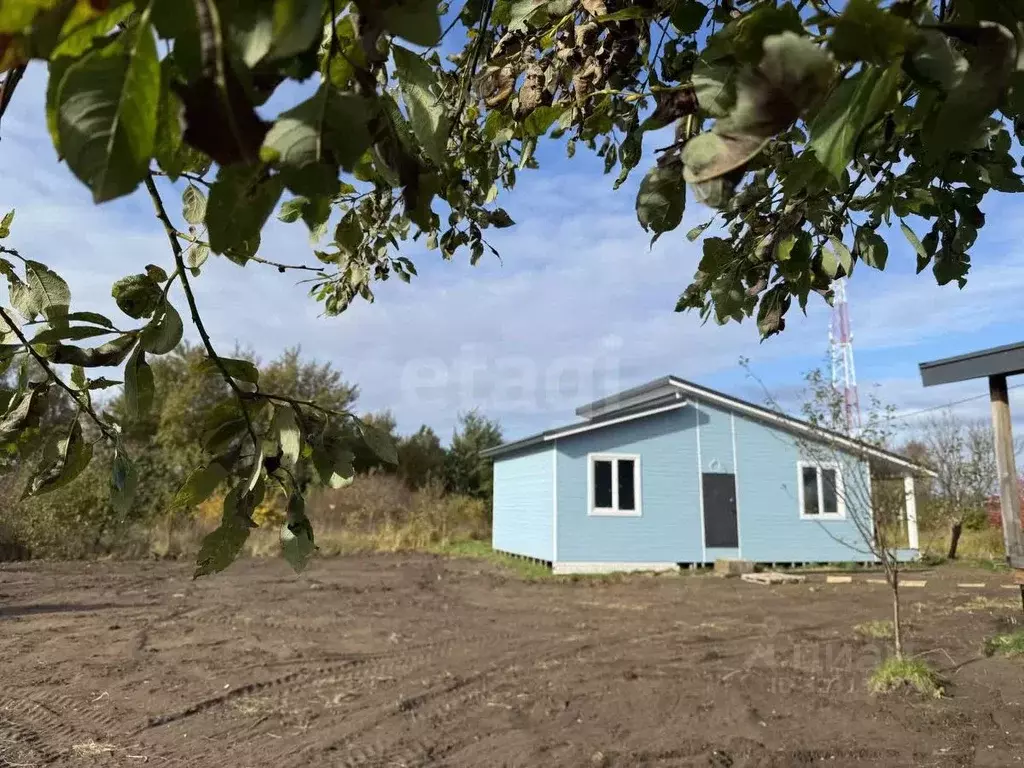 Дом в Калининградская область, Янтарный пгт, Садовник СНТ ул. Летняя, ... - Фото 1