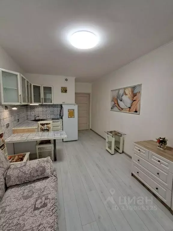 Студия Санкт-Петербург ул. Комиссара Грушко, 6 (24.1 м) - Фото 1