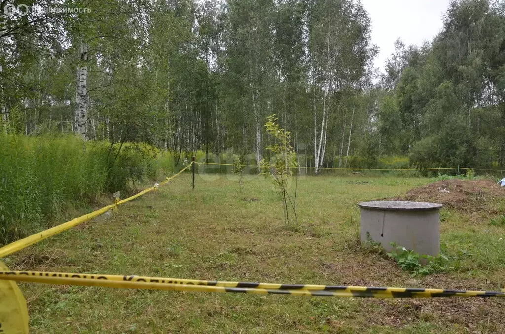 Участок в Киреевский район, сельское поселение Красноярское, посёлок ... - Фото 2