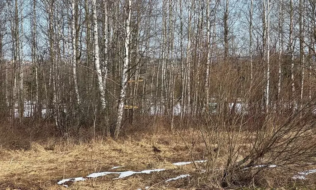 Участок в Московская область, Богородский городской округ, с. ... - Фото 1