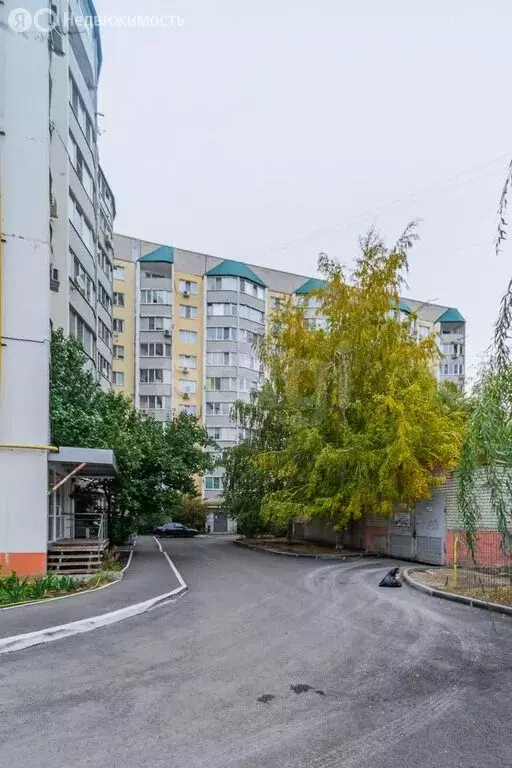 3-комнатная квартира: Саратов, улица имени А.П. Муленкова, 6 (82 м) - Фото 0