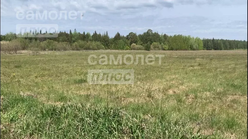 Участок в Свердловская область, Тугулымский городской округ, пос. ... - Фото 0