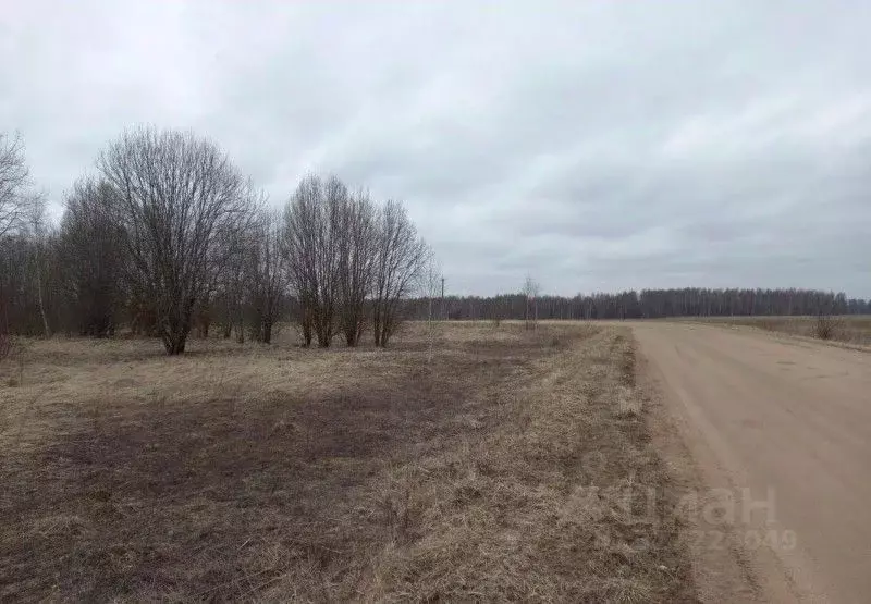 Участок в Московская область, Дмитровский муниципальный округ, д. ... - Фото 0
