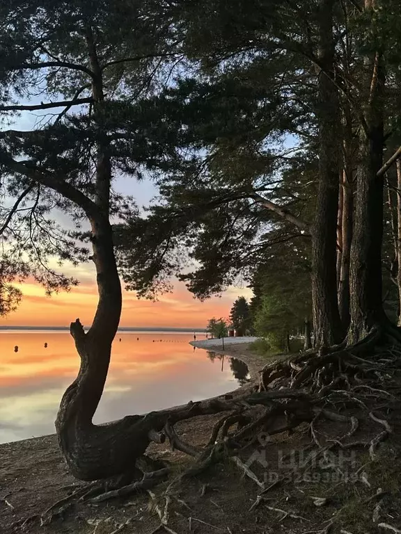 4-к кв. Санкт-Петербург, Санкт-Петербург, Сестрорецк ул. Всеволода ... - Фото 1