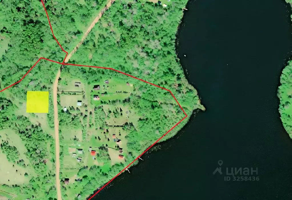 Участок в Новгородская область, Крестецкий район, Новорахинское с/пос, ... - Фото 1