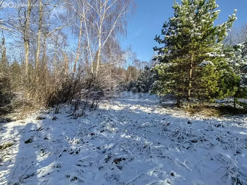 Участок в Угличский район, Слободское сельское поселение, деревня Палы ... - Фото 1