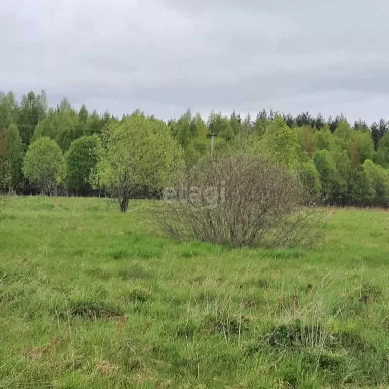 Участок в Псковская область, Печорский муниципальный округ, д. ... - Фото 0