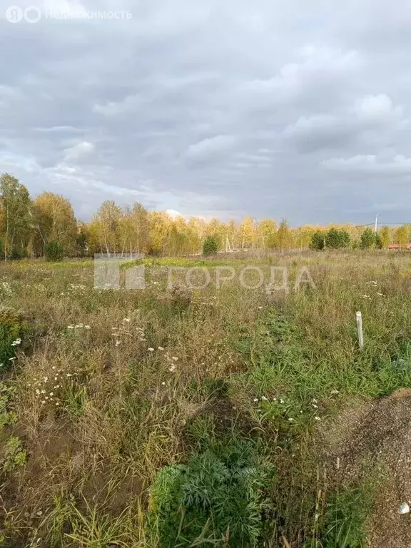 Участок в Мошковский район, посёлок Октябрьский (10 м) - Фото 0
