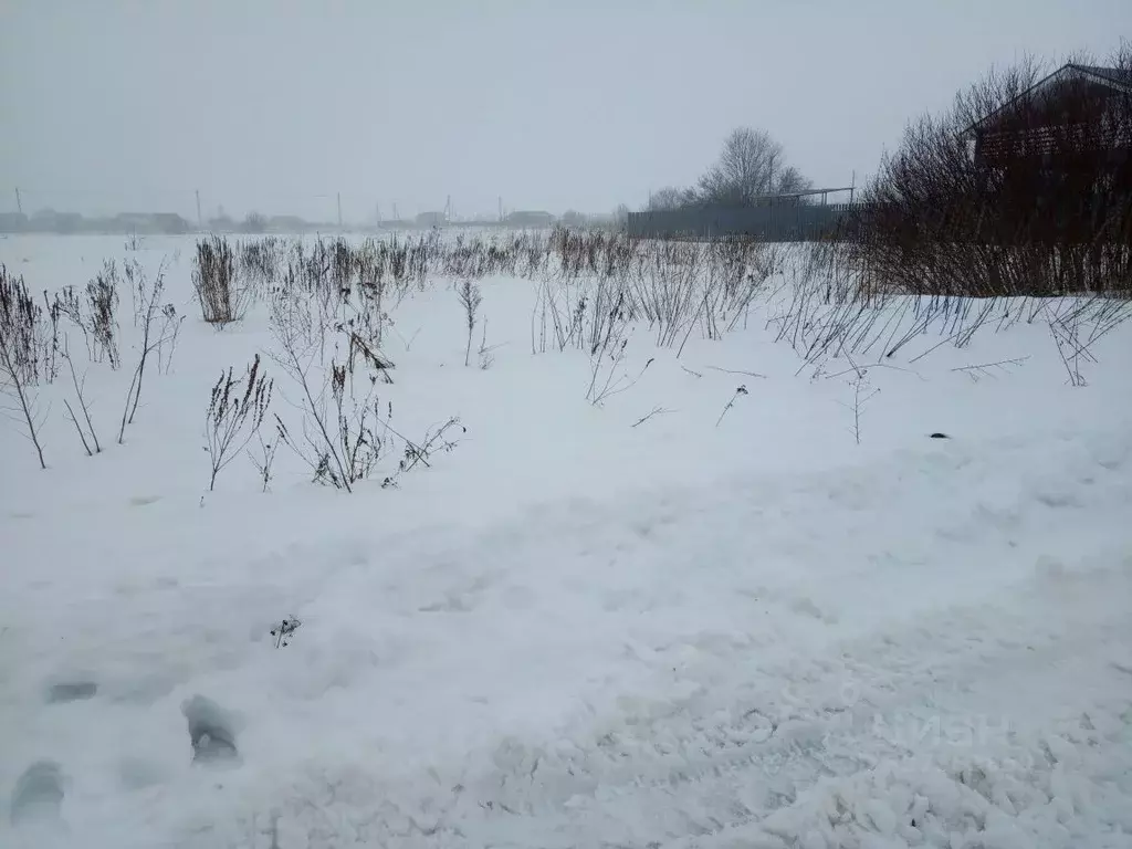 Участок в Новгородская область, Новгородский район, Ракомское с/пос, ... - Фото 2