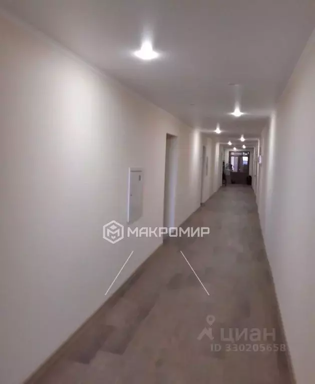 Офис в Орловская область, Орел ул. Лескова, 19 (103 м) - Фото 1