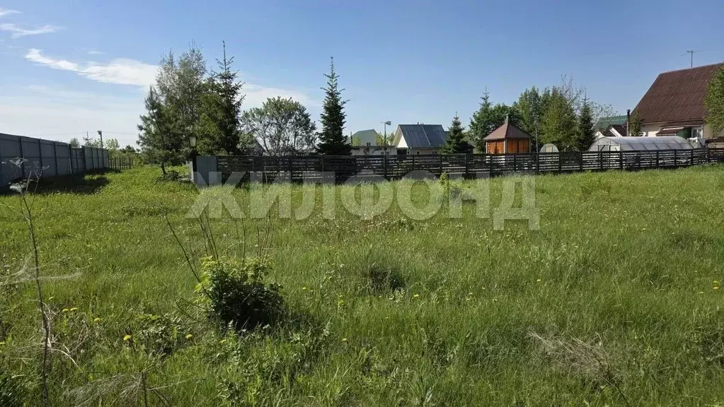 Участок в Новосибирская область, Новосибирский район, с. Ярково  (9.0 ... - Фото 2
