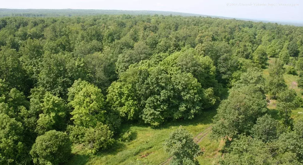 Продаётся 2-к квартира, 60.5 м - Фото 1