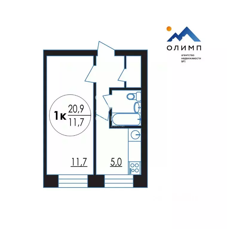 1-к кв. Вологодская область, Вологда Кирпичная ул., 5 (20.9 м) - Фото 2