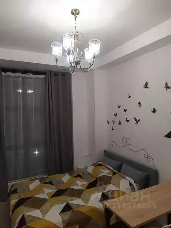 Студия Московская область, Жуковский ул. Гагарина, 3а (19.0 м) - Фото 0