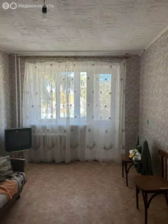 1-комнатная квартира: село Дмитриевка, Трактовая улица, 20 (31 м) - Фото 1