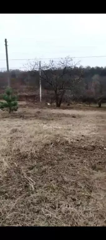 Участок в Орловская область, Орловский муниципальный округ, Нива СНТ ... - Фото 2