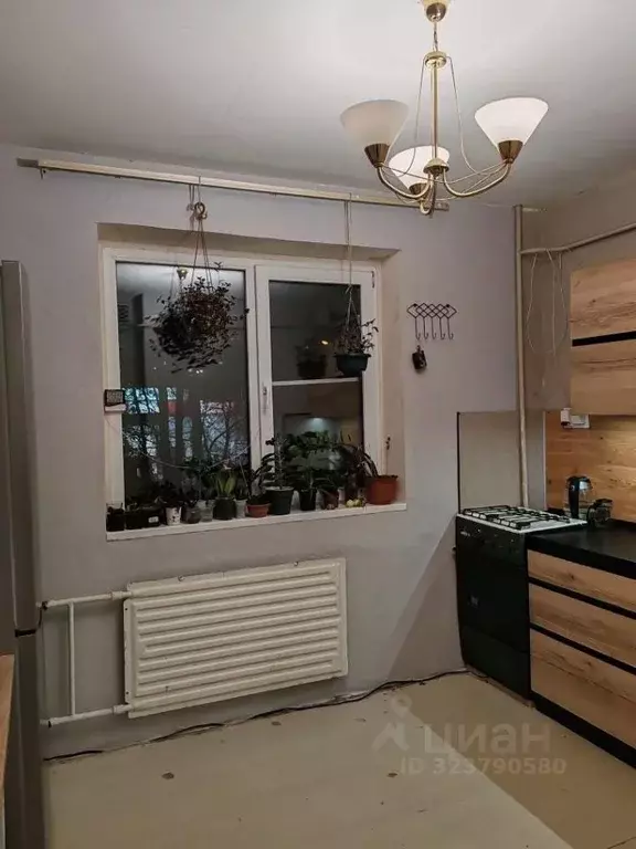 1-к кв. Пензенская область, Пенза Ладожская ул., 105 (37.4 м) - Фото 1