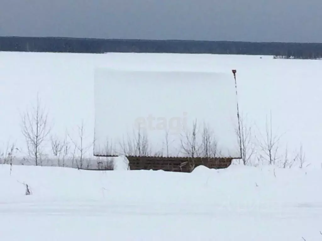 Участок в Костромская область, Макарьевский муниципальный округ, д. ... - Фото 0