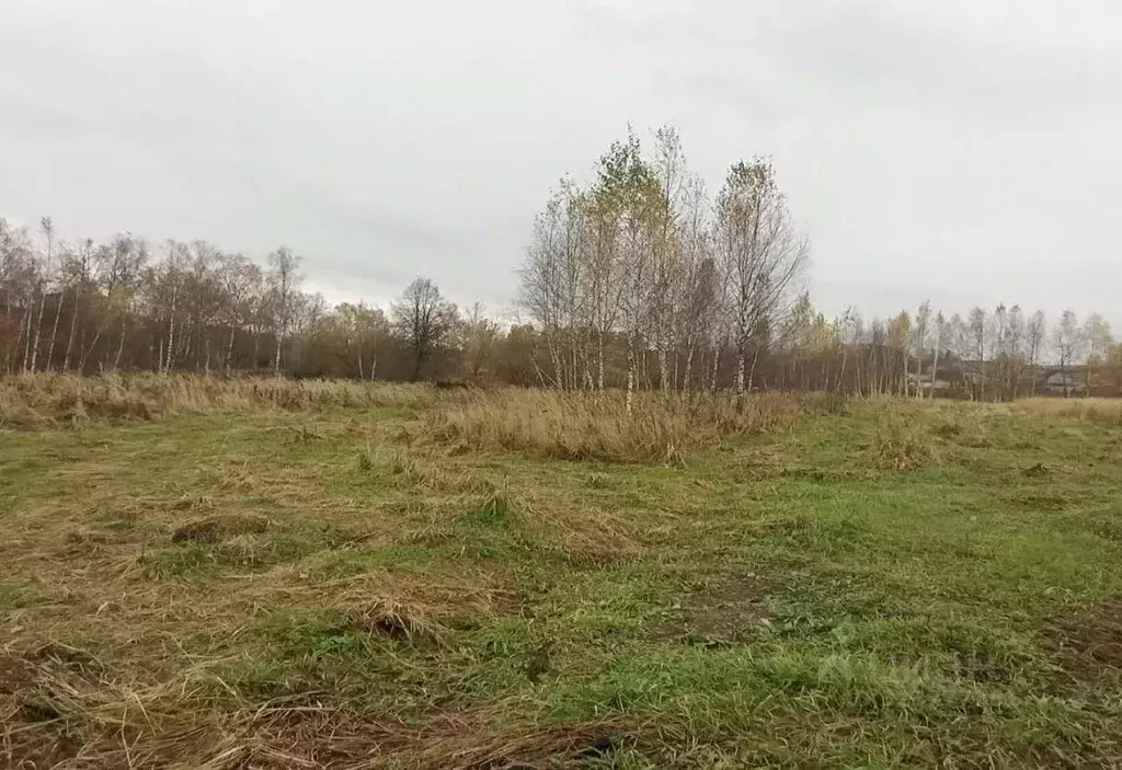 Участок в Московская область, Дмитровский муниципальный округ, д. ... - Фото 1