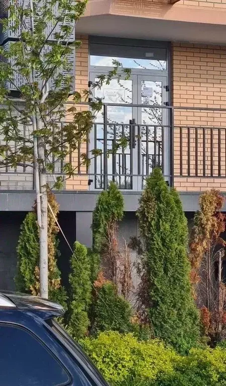 Помещение свободного назначения в Краснодарский край, Краснодар ул. ... - Фото 2
