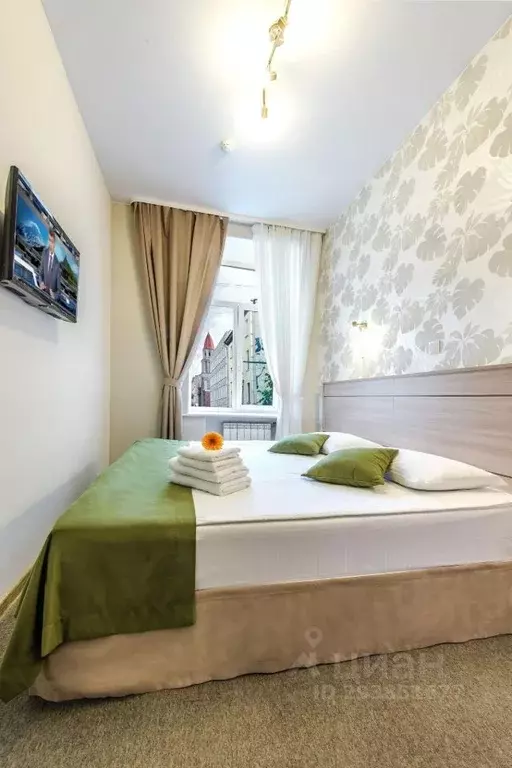 Комната Санкт-Петербург ул. Маяковского, 22-24 (12.0 м) - Фото 2