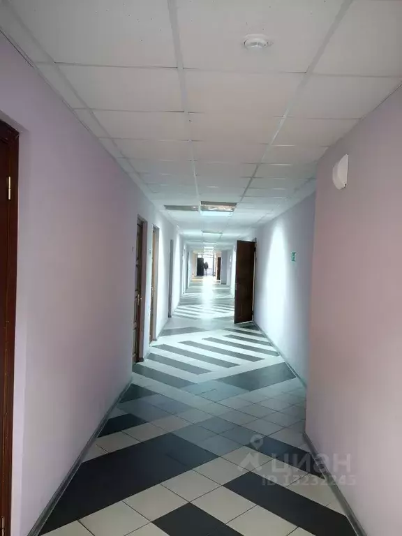 Офис в Воронежская область, Воронеж ул. 9 Января, 68б (52.0 м) - Фото 1