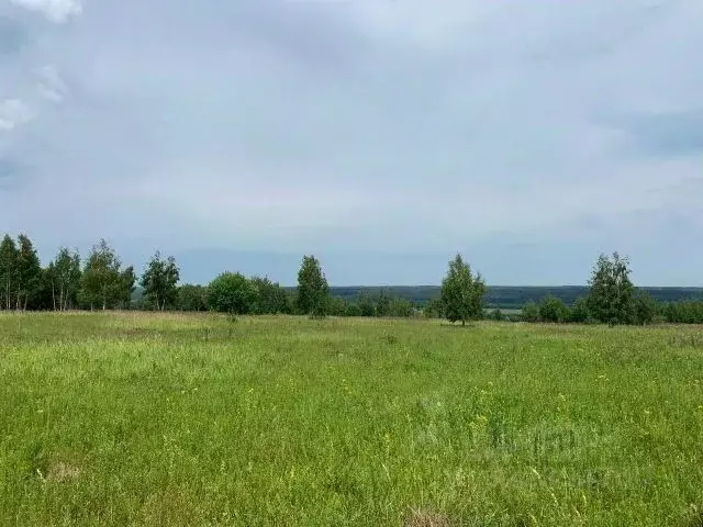 Участок в Владимирская область, Александровский муниципальный округ, ... - Фото 1