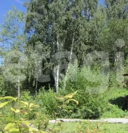Участок в Пермский край, Пермь ул. Обросова (12.0 сот.) - Фото 1