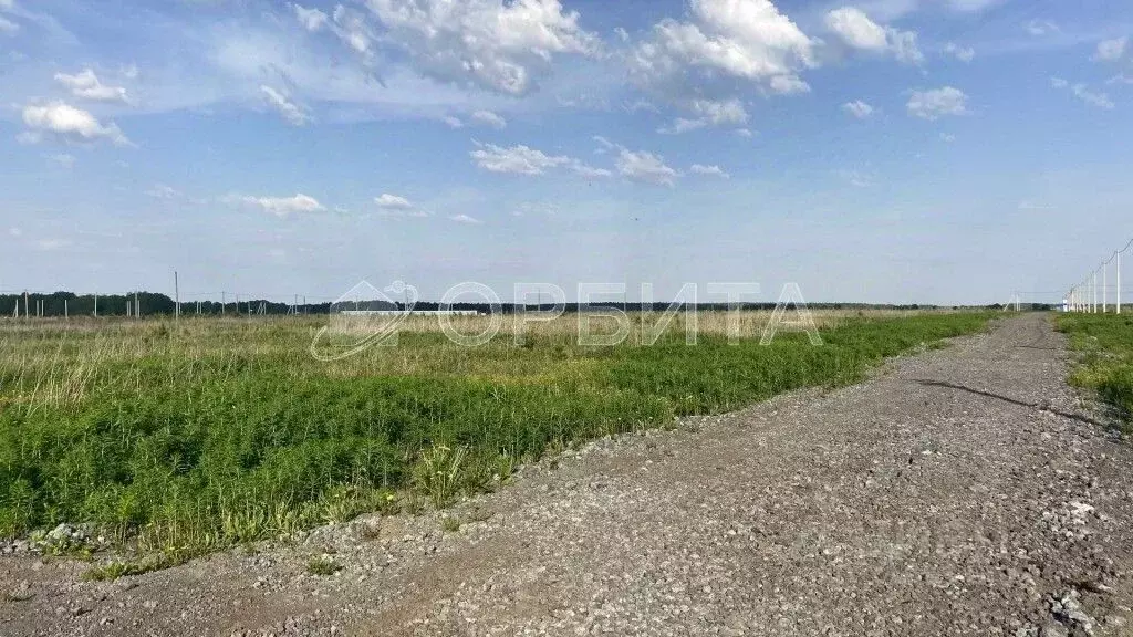Участок в Тюменская область, Тюменский район, д. Малиновка, Вольные ... - Фото 1
