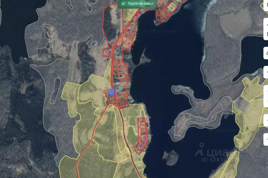 Участок в Псковская область, Великолукский район, Пореченская волость, ... - Фото 2