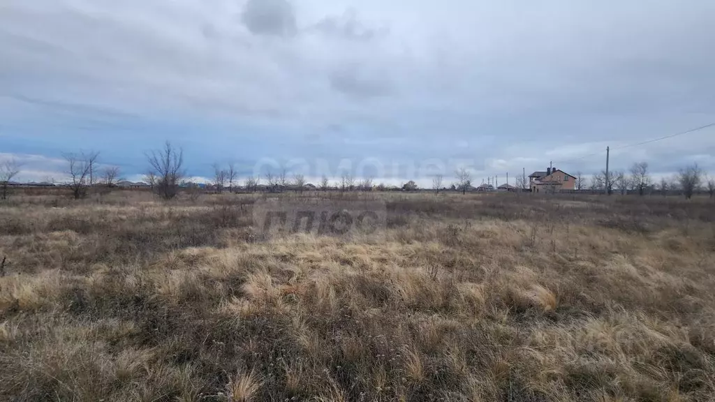 Участок в Оренбургская область, Оренбургский район, Южноуральский ... - Фото 2