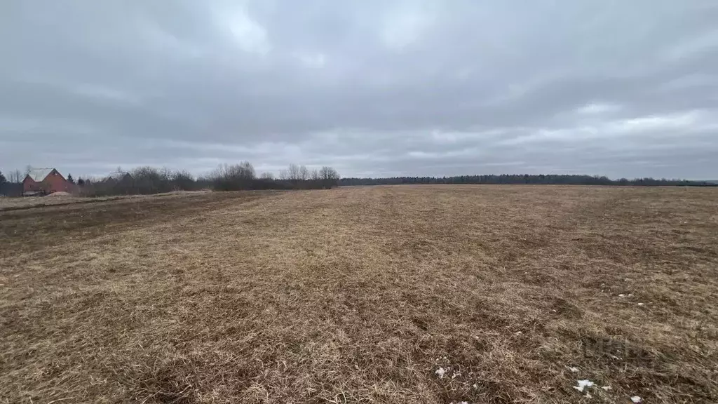 Участок в Московская область, Истра муниципальный округ, д. Чудцево  ... - Фото 0