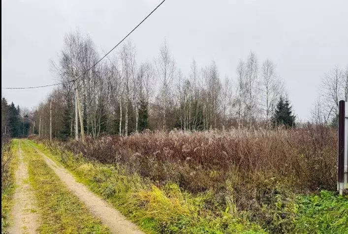 Участок в Московская область, Клин городской округ, Подсолнухи кп  ... - Фото 1