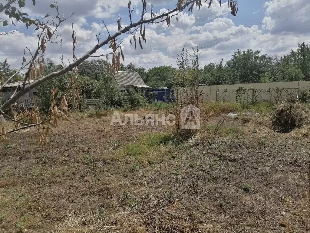 Участок в Ростовская область, Белая Калитва Калитва садоводческое ... - Фото 2