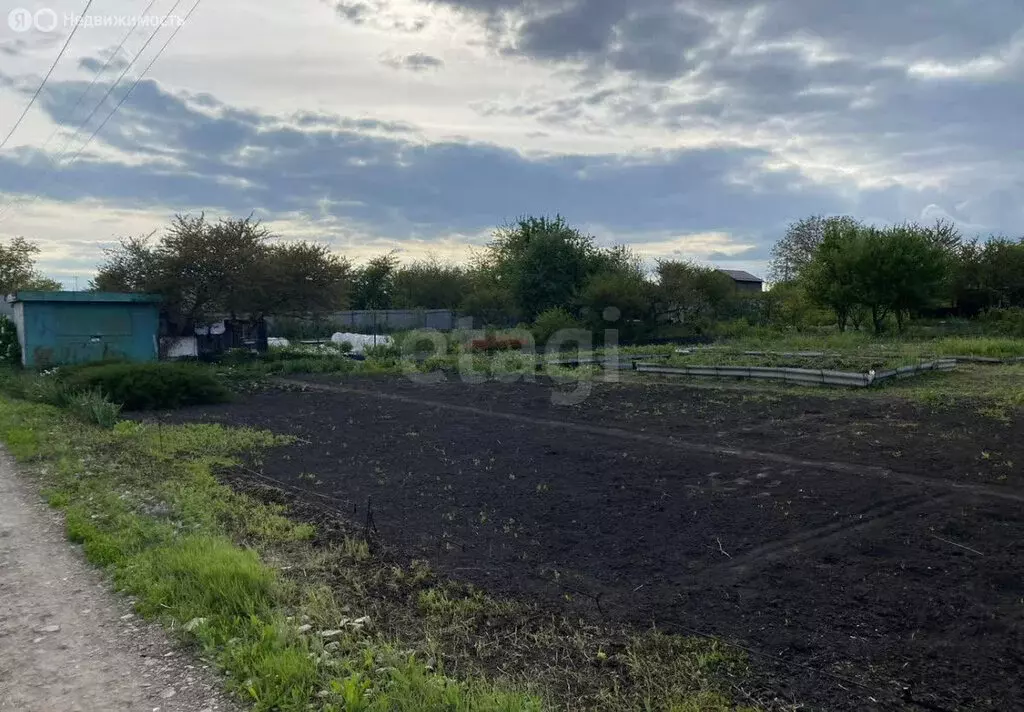 Участок в село Стрелецкое, садоводческое некоммерческое товарищество ... - Фото 1