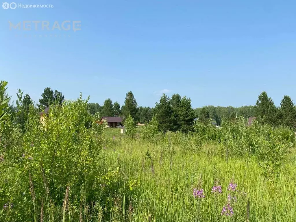 Участок в Плотниковский сельсовет, ДНТ Рябинка (12 м) - Фото 1