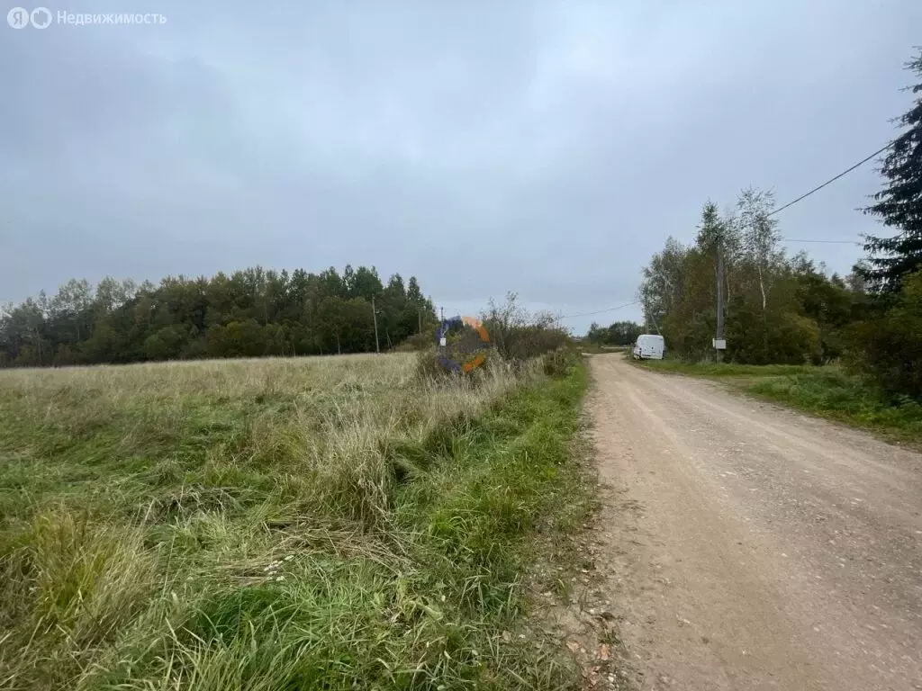 Участок в Новгородский район, Трубичинское сельское поселение, деревня ... - Фото 1