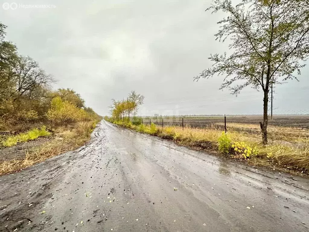 Участок в Воронеж (5 м) - Фото 1