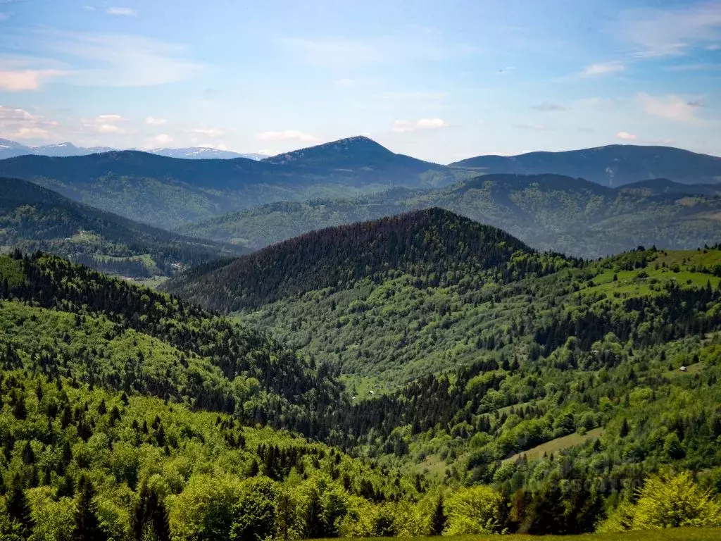 Участок в Алтай, Чемальский район, Элекмонарское с/пос, Седьмое Небо ... - Фото 0