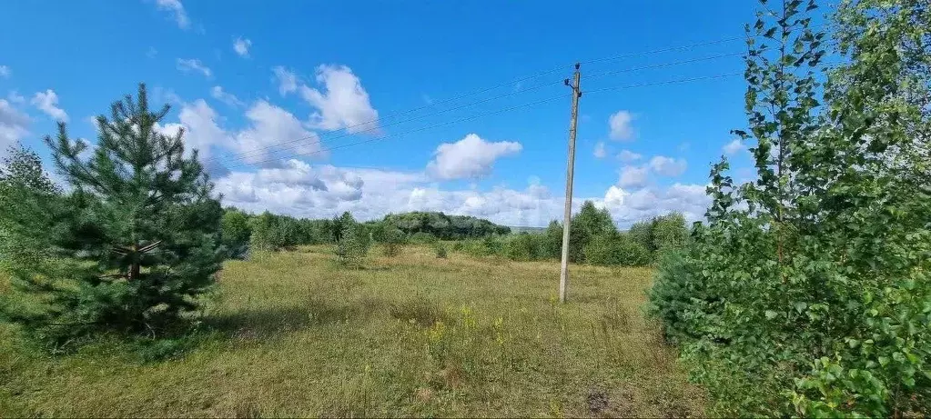 Участок в Калужская область, Думиничский район, с. Брынь ул. Новая ... - Фото 0