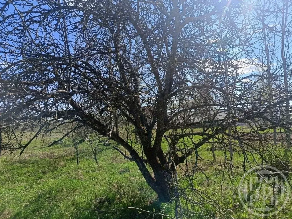 Дом в Ленинградская область, Лужский район, Ретюнское с/пос Р-23, ... - Фото 1