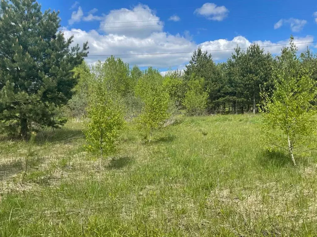 Продается участок в г. Раменское - Фото 1