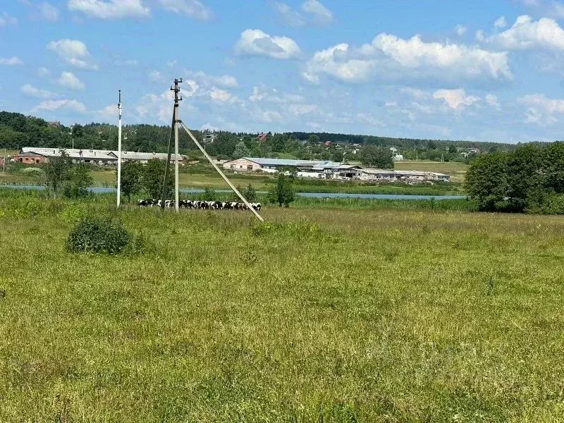 Участок в Нижегородская область, Богородский муниципальный округ, ... - Фото 1
