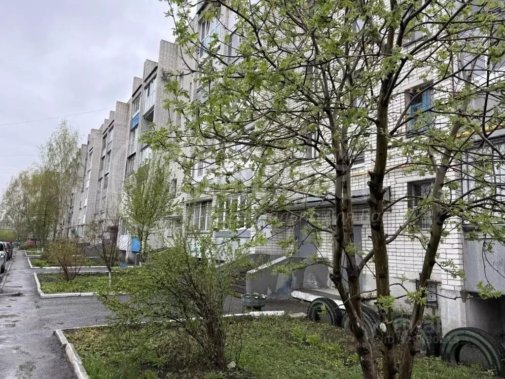 2-к кв. Курганская область, Курган ул. Макаренко, 96к1 (50.3 м) - Фото 1