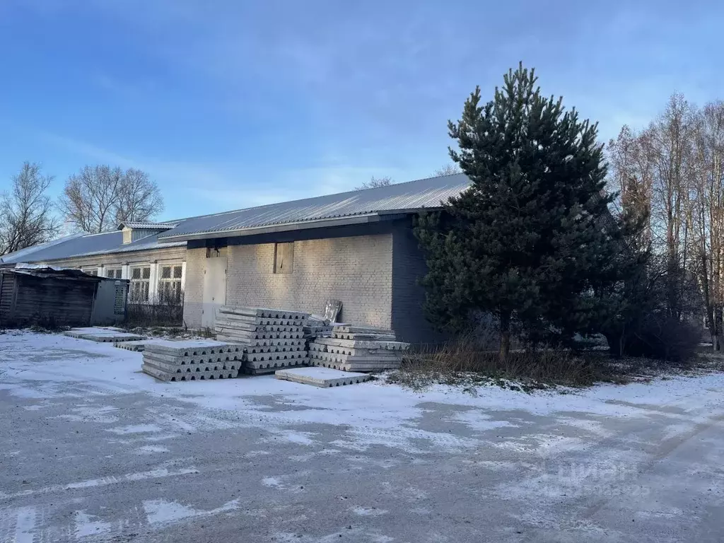 Помещение свободного назначения в Московская область, Люберцы пос. ... - Фото 0