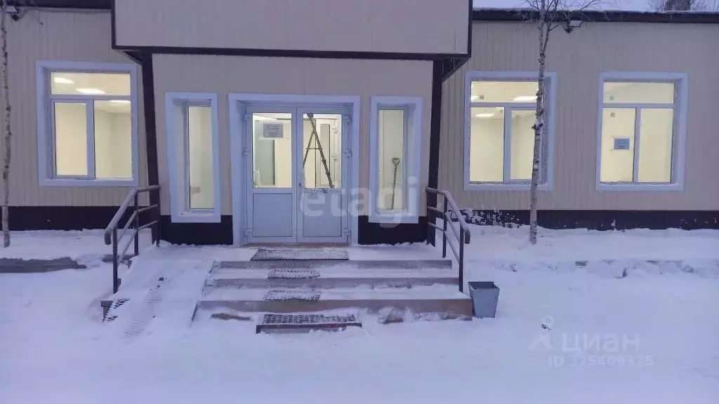 Торговая площадь в Ямало-Ненецкий АО, Надымский район, Пангоды пгт ул. ... - Фото 2