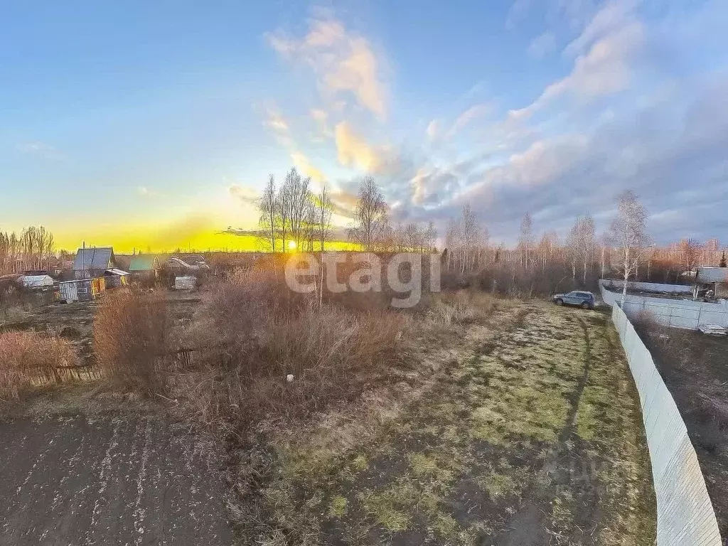 Участок в Тюменская область, Тюменский муниципальный округ, Красная ... - Фото 2